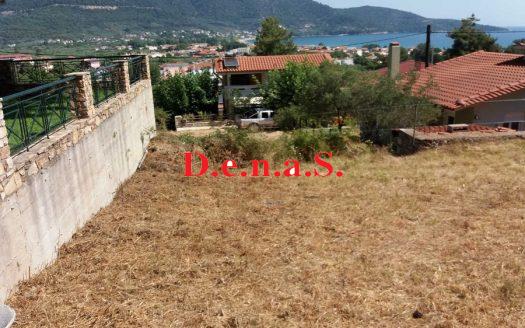 SPOT1094 – Οικόπεδο 725τ.μ στη Σκάλα Ποταμιάς Θάσου
