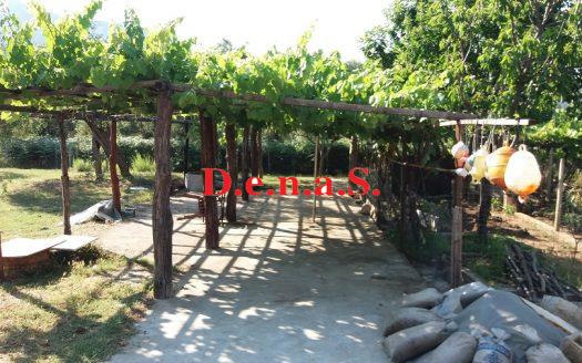 SPOT1095 – Αγροτεμάχιο 4.616τ.μ στη Σκάλα Ποταμιάς Θάσου