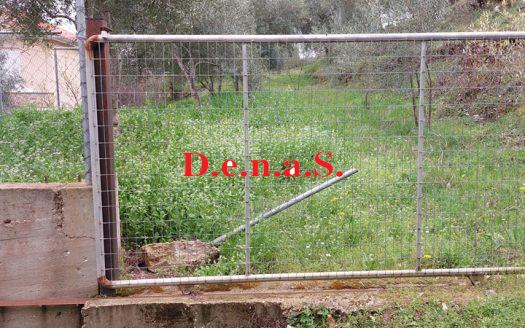 SPOT1114 – Plot of 585sq.m in Skala Potamia – Thassos