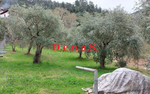 SPOT1113 – Plot of 508sq.m in Skala Potamia – Thassos