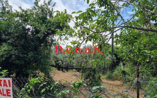 SPOT1119 – Plot of 948sq.m in Potamia -Thassos